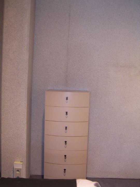 Vanille foto 2
